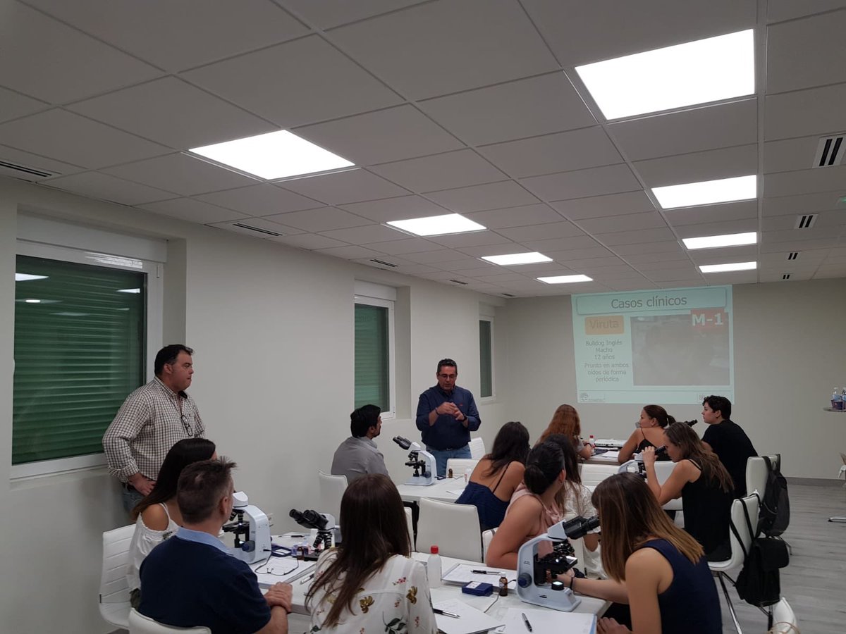 mascoderm_cv's tweet photo. Hoy en Cáceres para impartir un taller de citología cutánea y auricular. #ecuphar #mascoderm #mascotas_cv #juanfranvet https://t.co/yYu8aMOnPv