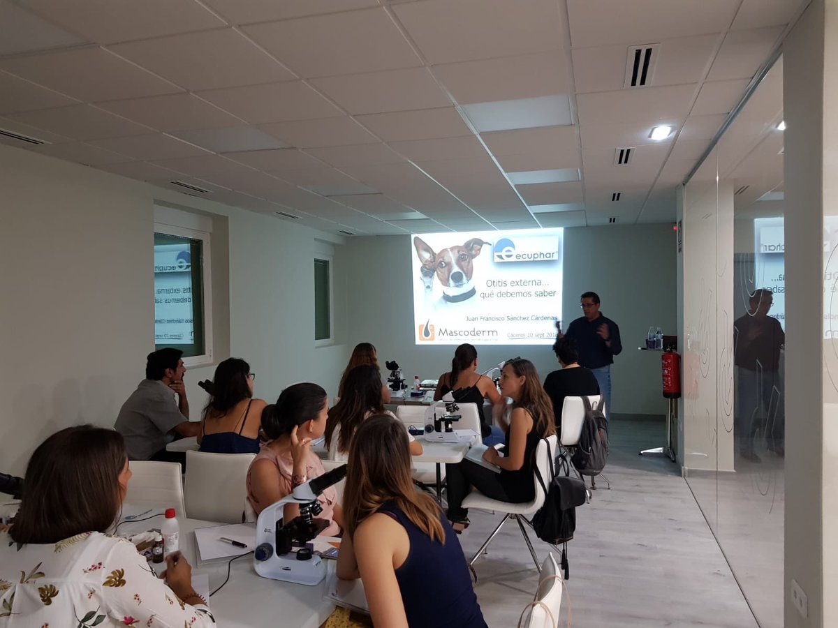 mascoderm_cv's tweet photo. Hoy en Cáceres para impartir un taller de citología cutánea y auricular. #ecuphar #mascoderm #mascotas_cv #juanfranvet https://t.co/yYu8aMOnPv