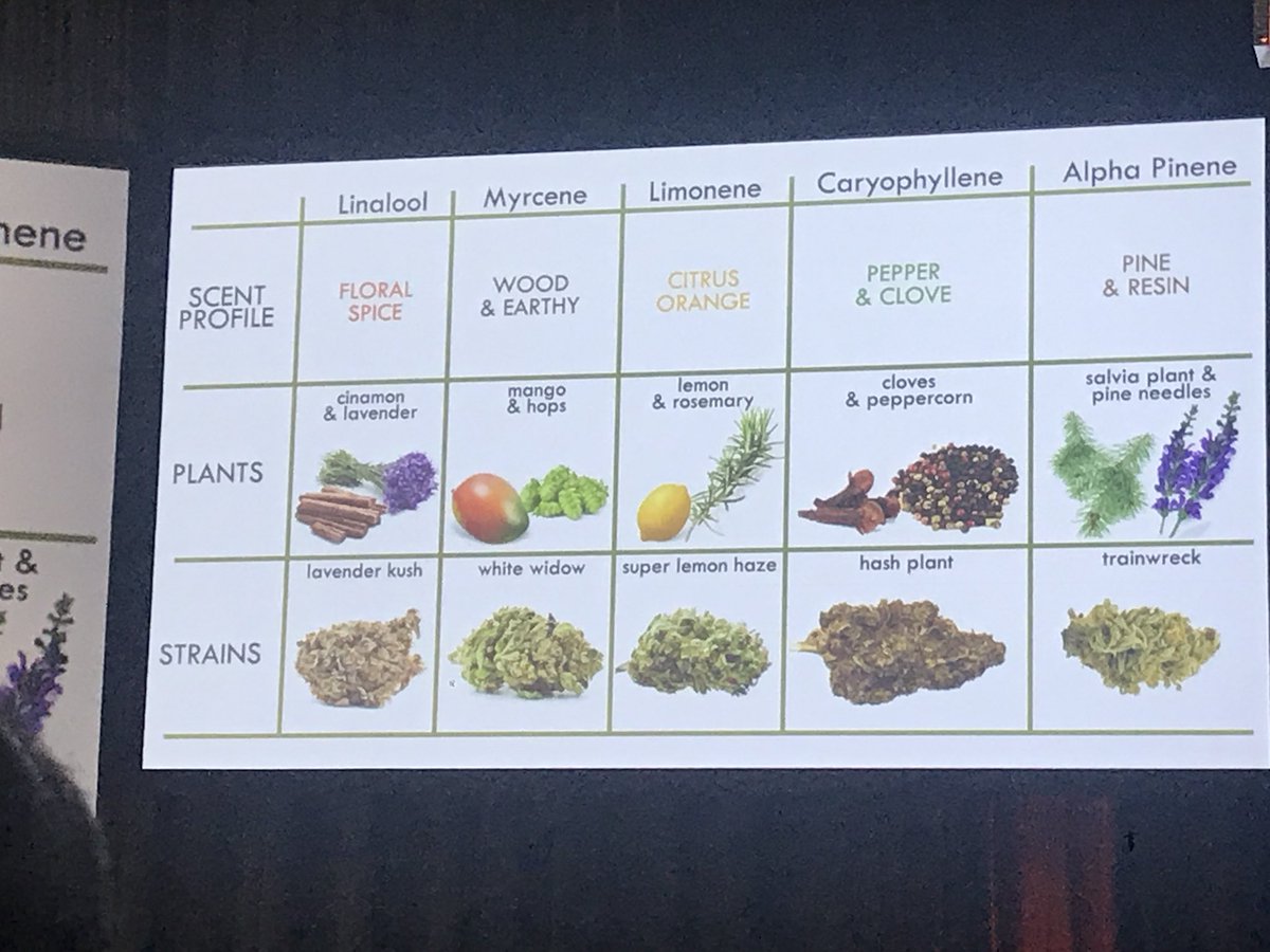 TheHatcheryChi's tweet photo. Informative final session of #Foodscape2! If you’re exploring using Cannabis in your food business, join us for “The Business of Culinary Cannabis” networking event on 9/26 ft. @bluebirdhemp @CannabistryLabs & more! https://t.co/CAZFZ2Ibw6