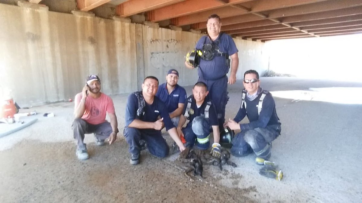 TelevisaSON's tweet photo. Luego de cinco horas fue rescatado por elementos de @BomberosHMO. https://t.co/dX0Yc6kLEW