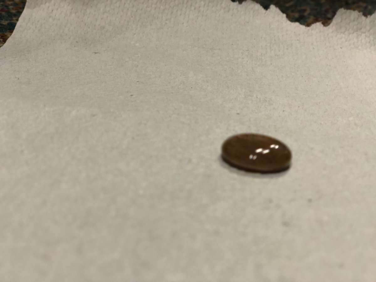 SunmanEl's tweet photo. A change in procedure can change the results of an experiment. Students explored how many water drops the coin would hold by using heads or tails, dropping from far away or close-up, or dropping fast vs. slow.
#HowMuchWeCanGrow https://t.co/PhwGrcJHMB
