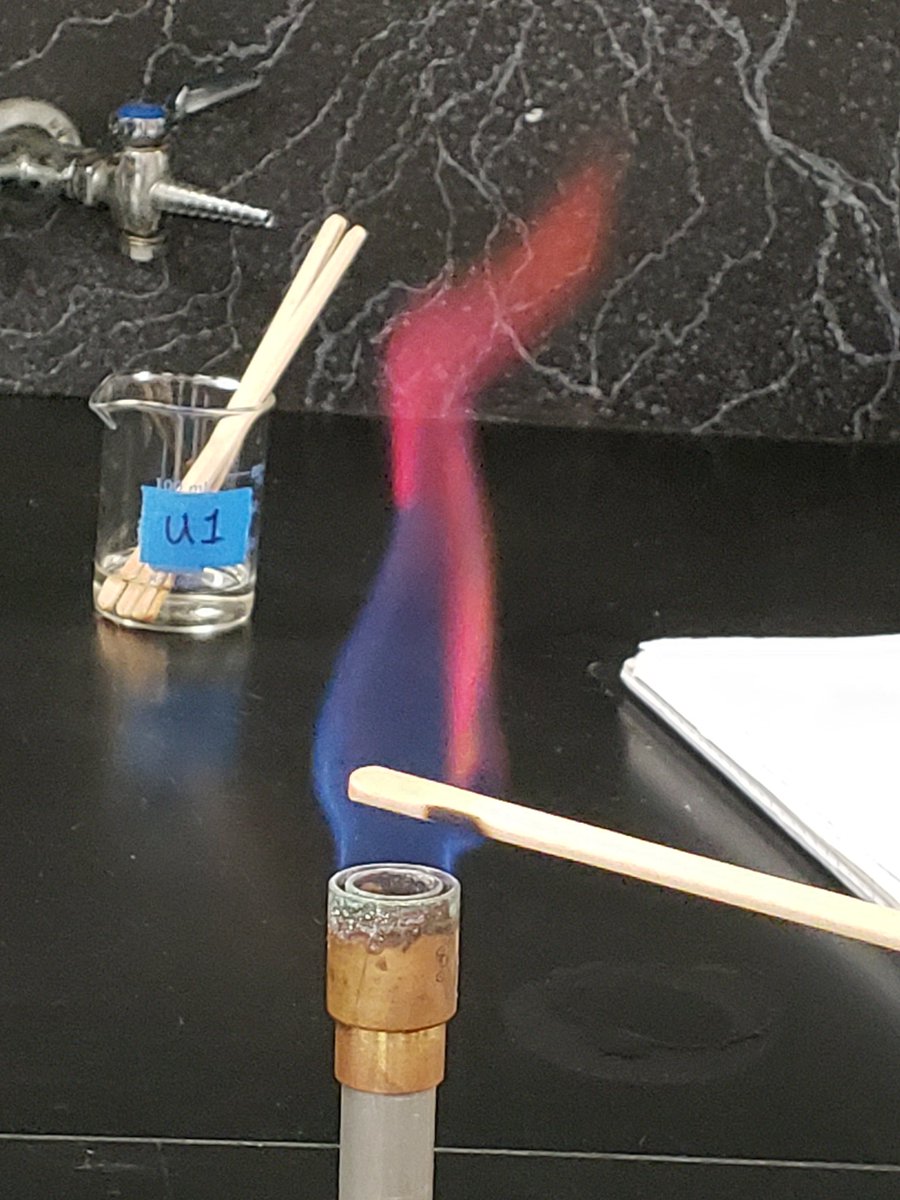 Jared Hoyt tweet media