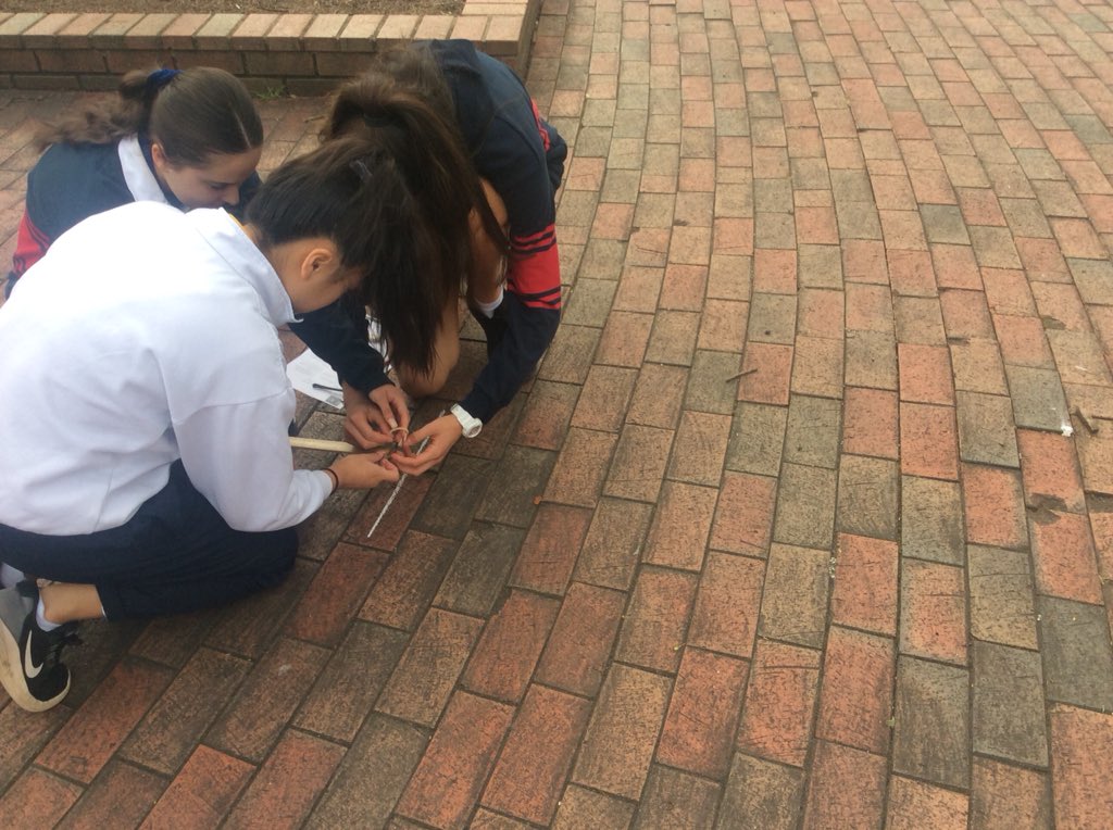 BeckRSaunders's tweet photo. #year10 #science #elasticpotentialenergy #learningoutside #datacollection #graphingdata #determinghowformulaswork https://t.co/ADRALjaWri