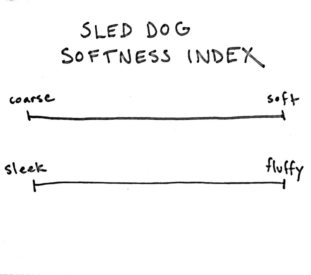 I will be ranking the sled dogs from least to most soft, on a scale of 1-10. To do this, I will use a scientific scale known as the SSSI, or Sled Dog Softness Index. Each dog’s SSSI score is based on two categories: the softness of individual hairs, and overall fluffiness.