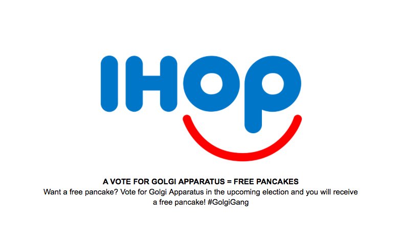 GolgiApp_9's tweet image. Love pancakes? Since I am shaped like a layer of pancakes, a vote for me is a free pancake for you! #GolgiGang #OrganelleVote2018 #LaSalleBio