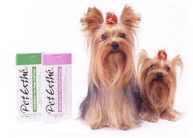 petestheshop's tweet image. Buy #Petesthe Dog Shampoo at best price The Products available are high quality and natural products. Call us: (08) 8398 5560. Visit us: petesthe.com.au

#petshops #groomingproducts #animallovers #shopping #onlineshop #zonemamadeals #ckartflip #dog #shampoo #bestshampoo