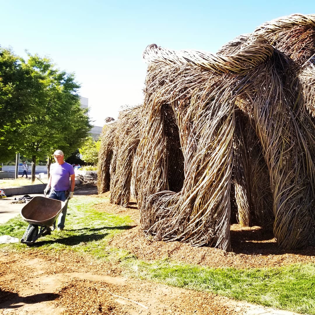 CimCity's tweet image. Cool art recently popped up at #USU. Check out the story behind it at usustatesman.com/patrick-doughe…
or stickwork.net @UtahStatesman #art #stickwork #patrickdougherty #utah #sculptures #logan