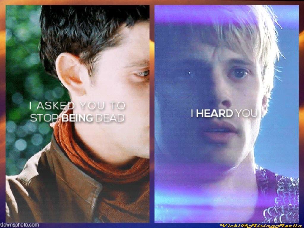 MissingMerlin's tweet photo. #MissingMerlin #Merlin #10YearsOfMerlin https://t.co/yj7K5g9gh2