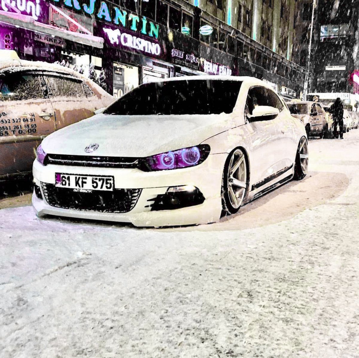 KingStance1's tweet photo. Rocco 💁 https://t.co/LczJ2aX2Cs
