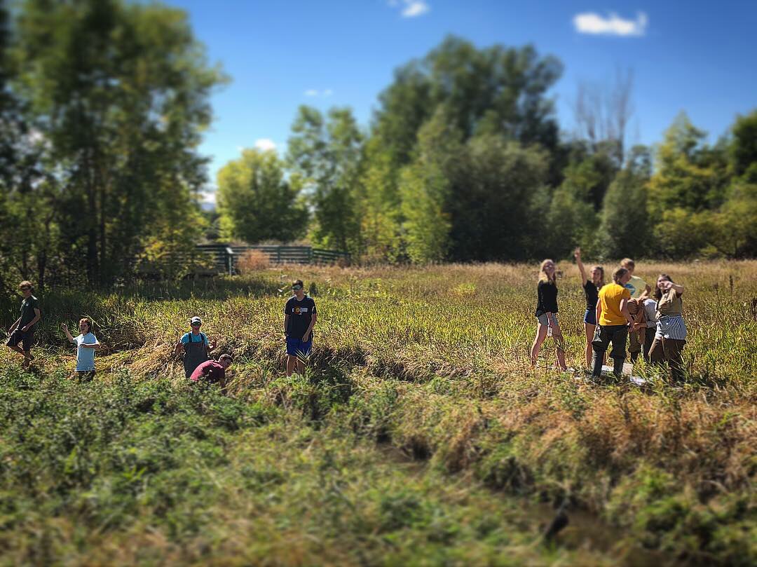 skbucko's tweet photo. It was an awesome day collecting macroinvertebrates with some amazing students! #apes #lobostrong #psdproud @ Ross Natural Area https://t.co/iiiwMDZfm3
