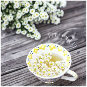 FunkyFreshProj's tweet image. Septembre dlvr.it/Qkstgf