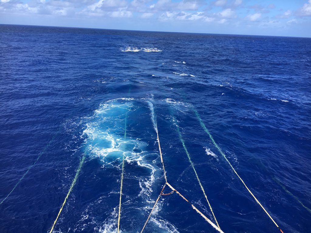 midoceanbridg's tweet photo. Active source data acquisition started early this morning with a literal BANG! #sciencethatgoesbumpinthenight https://t.co/IP2A9ILOKX