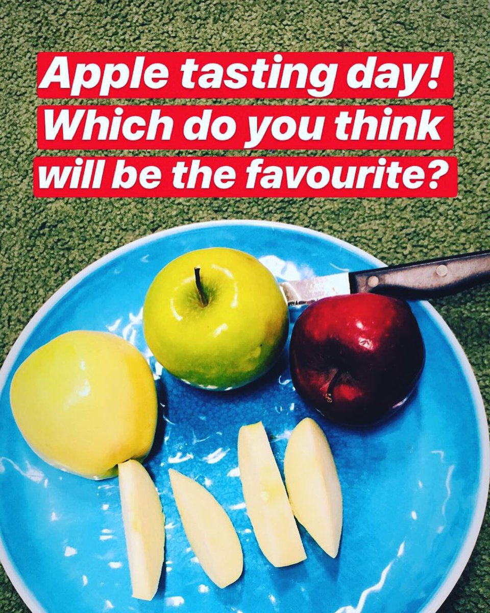 hcs_kinder's tweet photo. Apple Tasting Day!🍎🍏 Ss began the activity by making predictions about which colour apple would be their favourite, next we taste tested (yum!) and then closed the activity by graphing which colour apple was each Ss favourite #redwon #rvsed #hcsrvs https://t.co/b1WddDBRGM