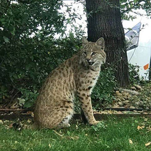 9NEWS Denver tweet media