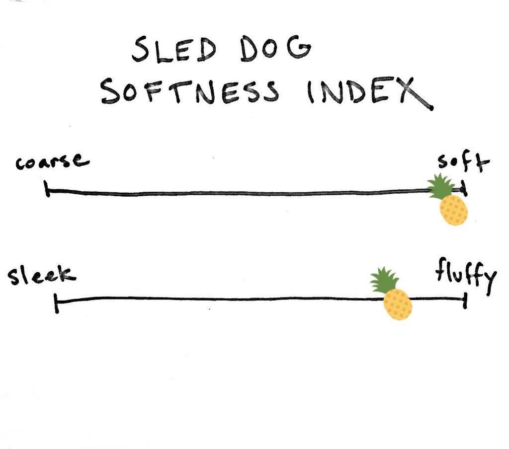 Pepe doesn’t just lead the team through hundreds of miles of arctic wilderness; she also scores a whopping 11.7 on the scale. See that pineapple? She stole it off a picnic table because she is so soft that she needed to claim a pointy object to restore balance to the universe.