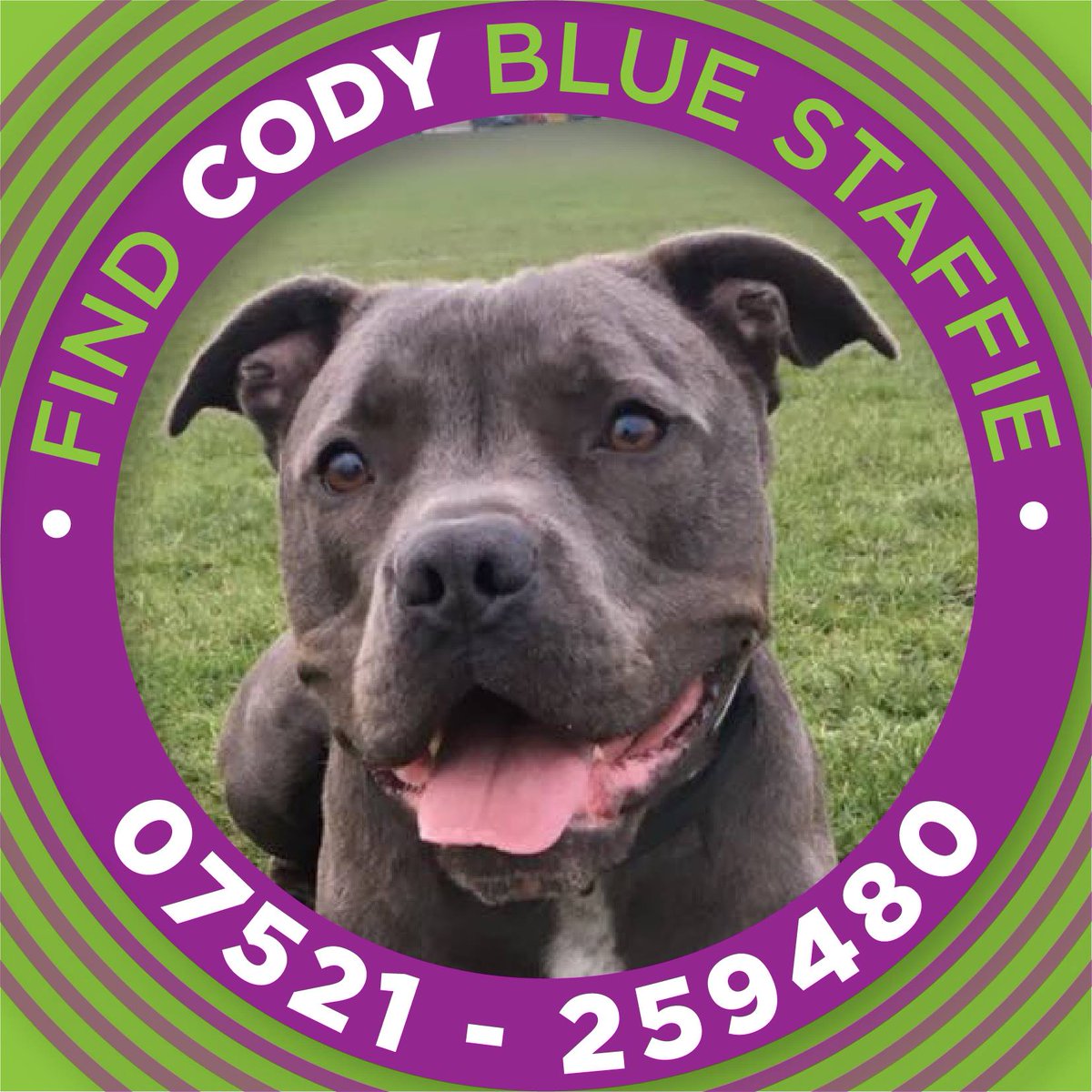 DogLostUK's tweet photo. @dotslondon @MissingPetsGB @PcsharonPage @GirlStaffie @thismorning @paulross @THEJamesWhale @joynes85 @Jaspergratt @greenfairy2 @CheeseShopN10 @dogsofnw @OneStopAllDogs @bybenjidogtreat @MrTeddyTedster @lukesdogschool @Lucy_Cavalier @SheridanAlcock @Find_Kemo @SaveABulls @StaffyPetShop @SAMPAuk_ @NatashaBalletta @BarkingBlondes @TheDogvine @FINDMISSINGDOGS @HunnyJax @bringcodyhome @susanbich If you check out Cody's Facebook group, they're asking for volunteers to help with a few things, such as posters, feeding stations etc
Here's the link so you can get more info and make contact if you can help ~ Thanks xx 
https://t.co/T2piPM1avo https://t.co/NLaxJXW947