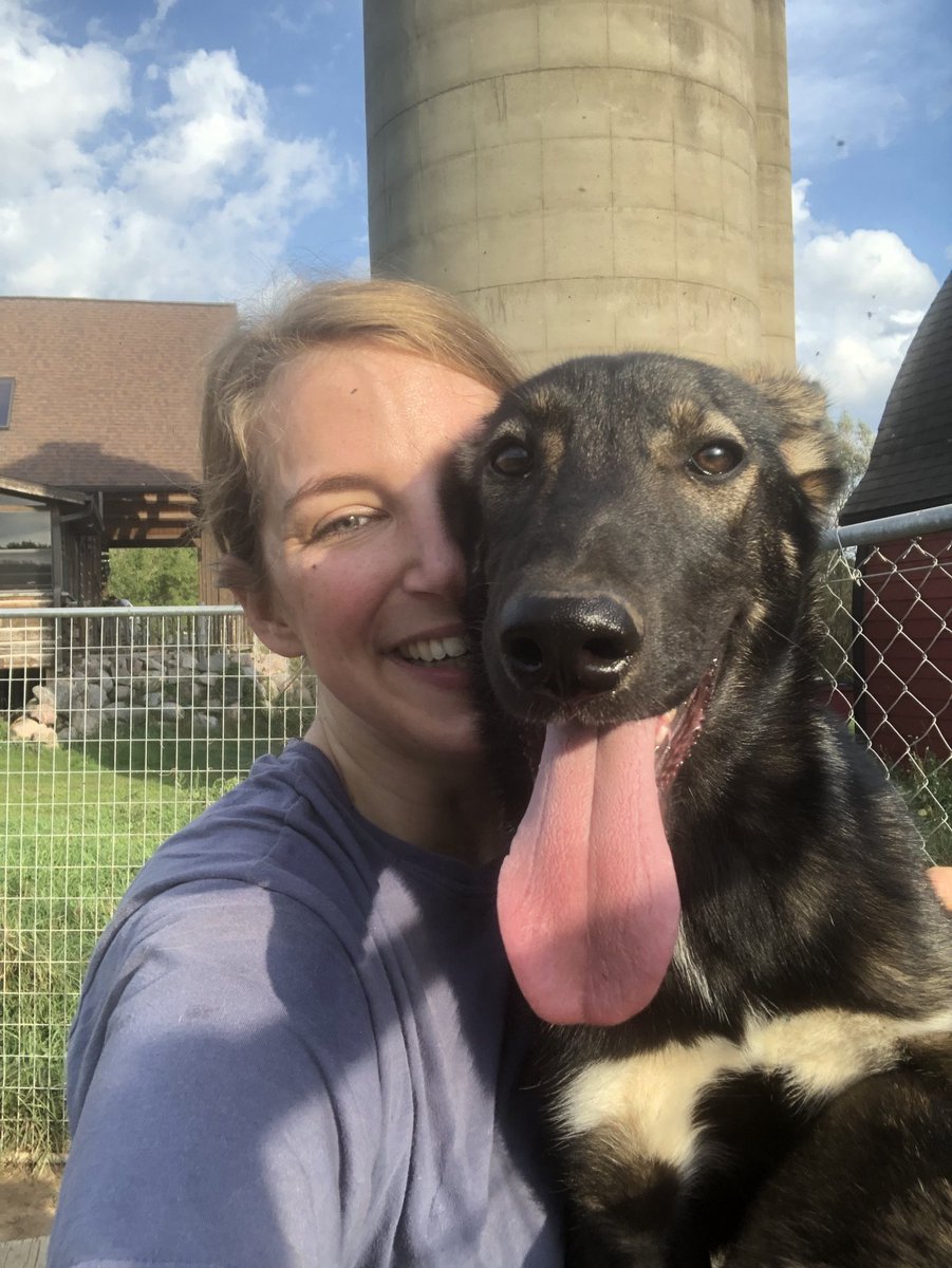 Forrest Gump is as soft as a feather floating on a summer breeze. 12.6/10