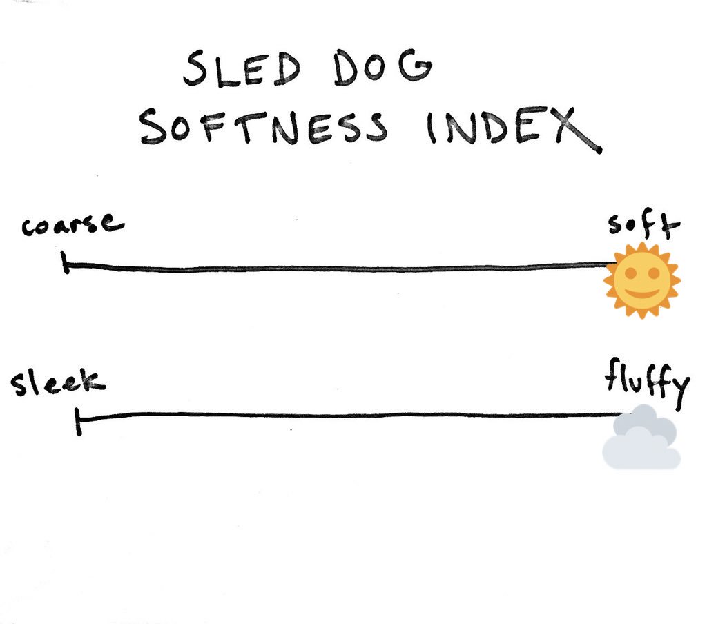 Next up is Hari. Hari is softer than four baby lambs eating cotton candy. 14/10 forever.