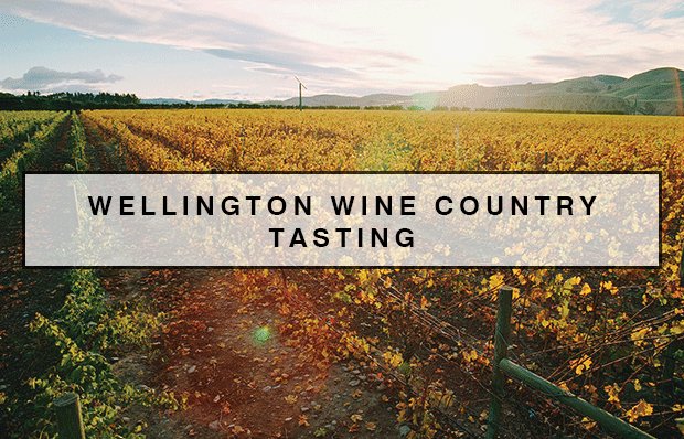 WairarapaWine's tweet photo. Join @BigSkyWines @MargrainWines @Matahiwi  @Urlarwines @ngawakawines @MVPinot @lunaestate2 @ElderPinot @Tkwine @palliser @LarryMcPinot for a wine tasting @GlengarryWine Wed 26th Sept instore Thorndon - will be great fun get tickets here  https://t.co/dGEzWCZk91 https://t.co/bHqHwePynP