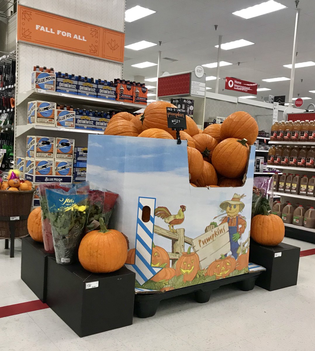 Fall for All !!! Pumpkin spice and everything nice😊. #T0195