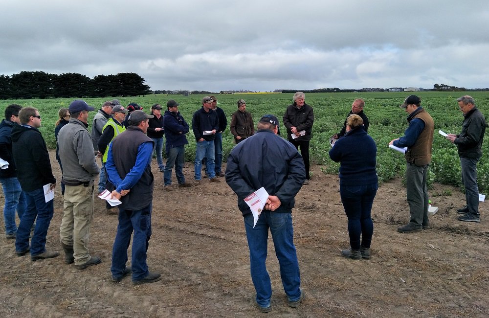 SouthernFS's tweet photo. Pulse workshop at Lake Bolac trial site this morning, good discussions on HRZ pulse growing experiences and the latest research from the GRDC Southern Pulse Extension Project @JasonBrand @Pulse_Australia @JimZwar @GRDCSouth https://t.co/Lky1dMDlvP