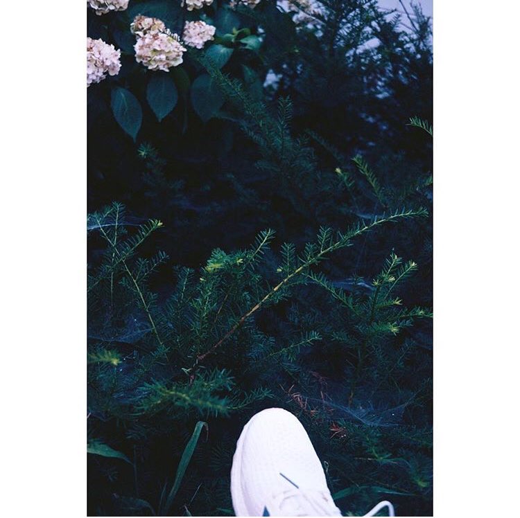 TeamWINNERtrad's tweet photo. [#KKANGSTAGRAM] Atualização de Seungyoon 

“Amanhã!! #InvernoEncontrandonoVerao #FotoDaqueleDia #rollei35 #extar100 #adidas #LongPadding 

https://t.co/3RMxdmDKgD https://t.co/QRYUIgWKss