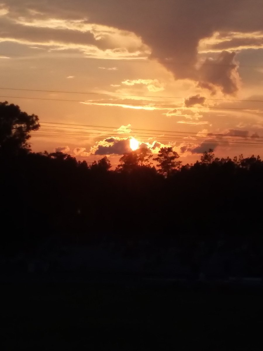Lex_Richardson5's tweet photo. @JaymeKingFox35 #snapthesun Citrus County...Lecanto, Fl https://t.co/Ux1tMT7uad