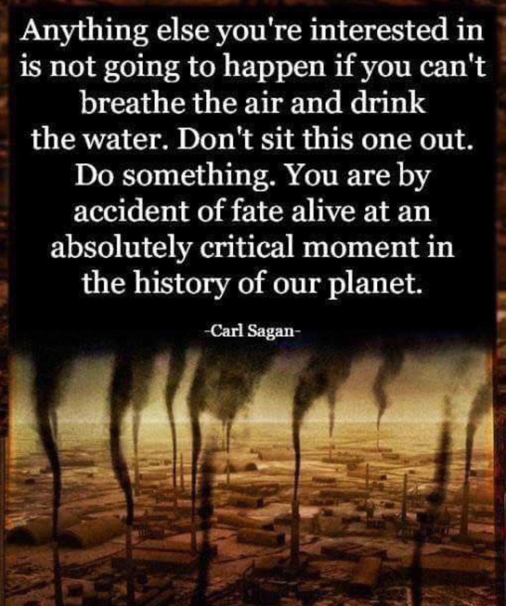 Renew_Air's tweet photo. Everyday actions add up . No action is too small towards making the planet #sustainable .

#Sustainability #environment #airpollution #water #climatechange https://t.co/j4o4mVIg3O