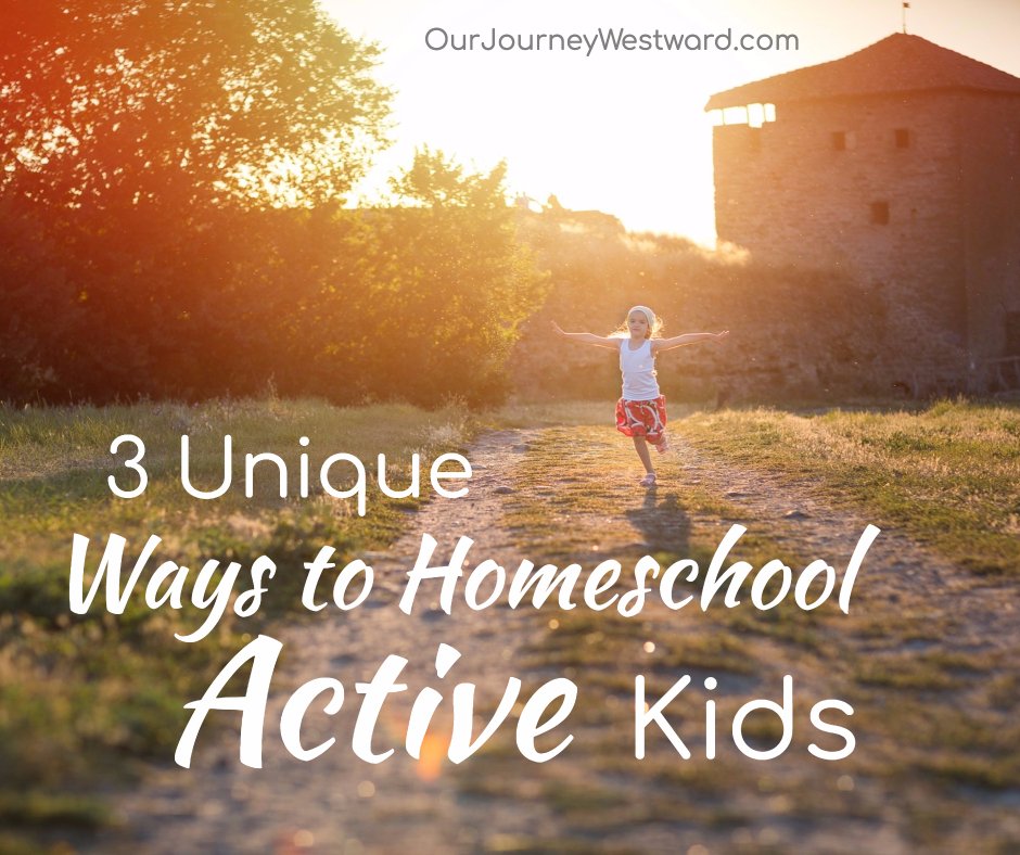 3 Unique Ways to #Homeschool Active Children That WILL Make a Difference buff.ly/2n9A2yL #ihsnet