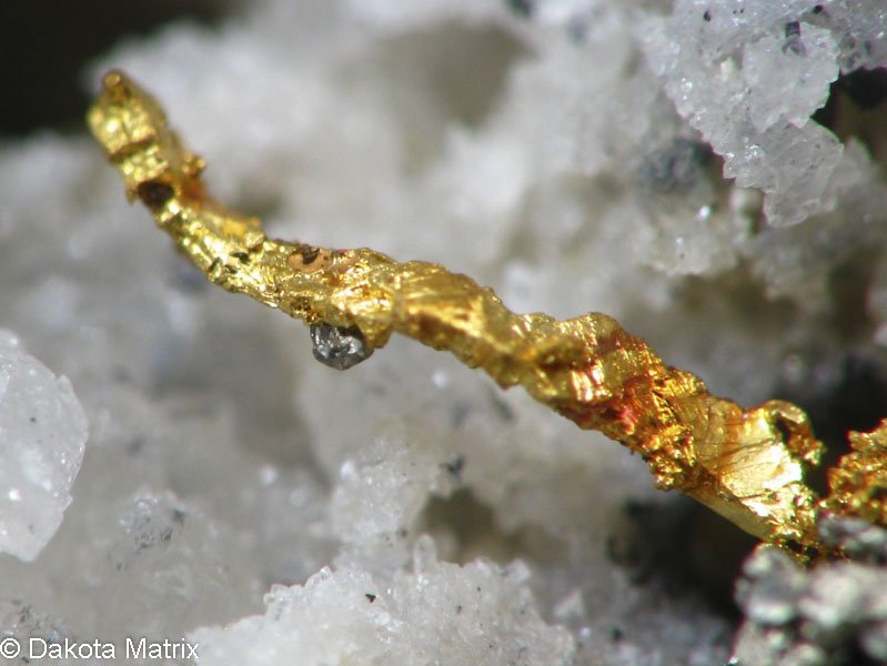 DakotaMatrix's tweet photo. Dakota Matrix: Gold, Pyromorphite, Richelsdorfite on the Daily Five tonight at 8:30P US Mtn time https://t.co/622lZsnaJ3 #raremineralspecimens #minerals #raremineralspecies https://t.co/LYwzDGWyNc