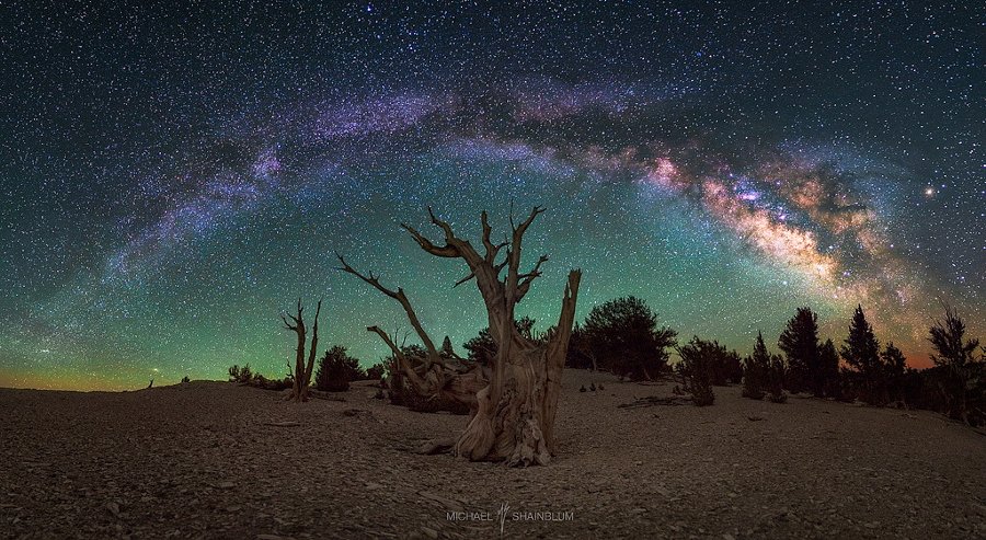 Awestruck by Beauty
#photography by <a href="/shainblum/">Michael Shainblum</a>
#California #ancient #tree #explore #nature #landscape #photo #amazing #space #milkyway #galaxy #adventure #sky #stargazing #travel 🇺🇸
shainblumphoto.com