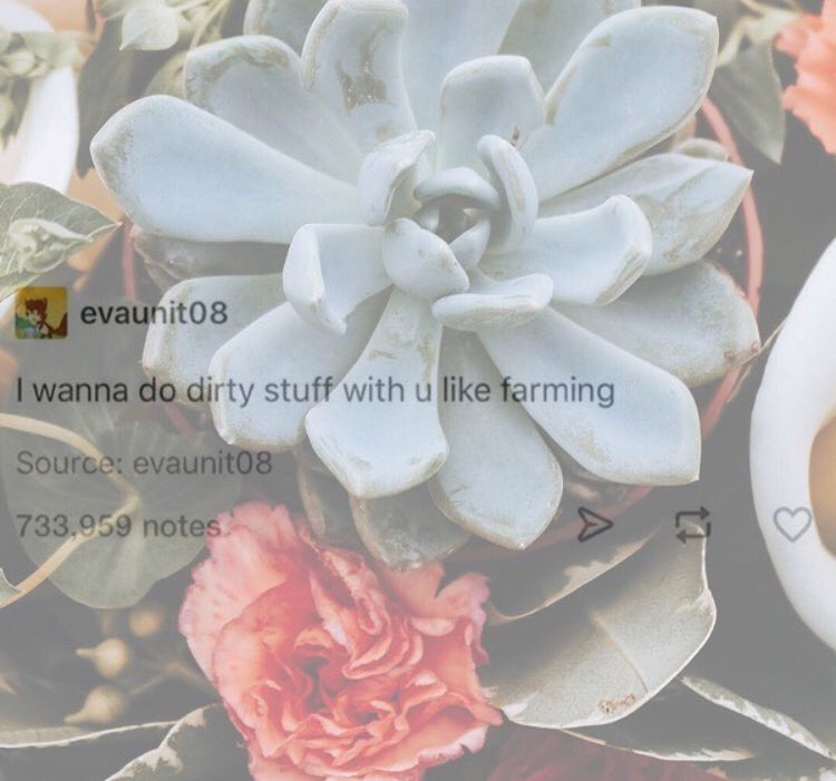 Triptolemus — Hiatus (@thetriptolemus) on Twitter photo 