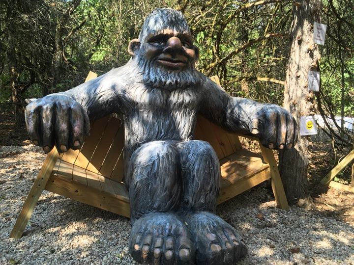 Get Some Adventures tweet media