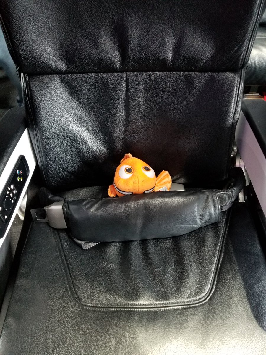 laurenappelbaum's tweet photo. Nemo came from San Francisco & was a gift from @DisneyPixar after I delivered a presentation on disability inclusion there last winter. We all know Nemo has a great sense of adventure. So he's excited for his 2nd flight with me, back to Calif. #WhereIsNemo #NemoinLA @AlaskaAir https://t.co/8pbt3Je8yp