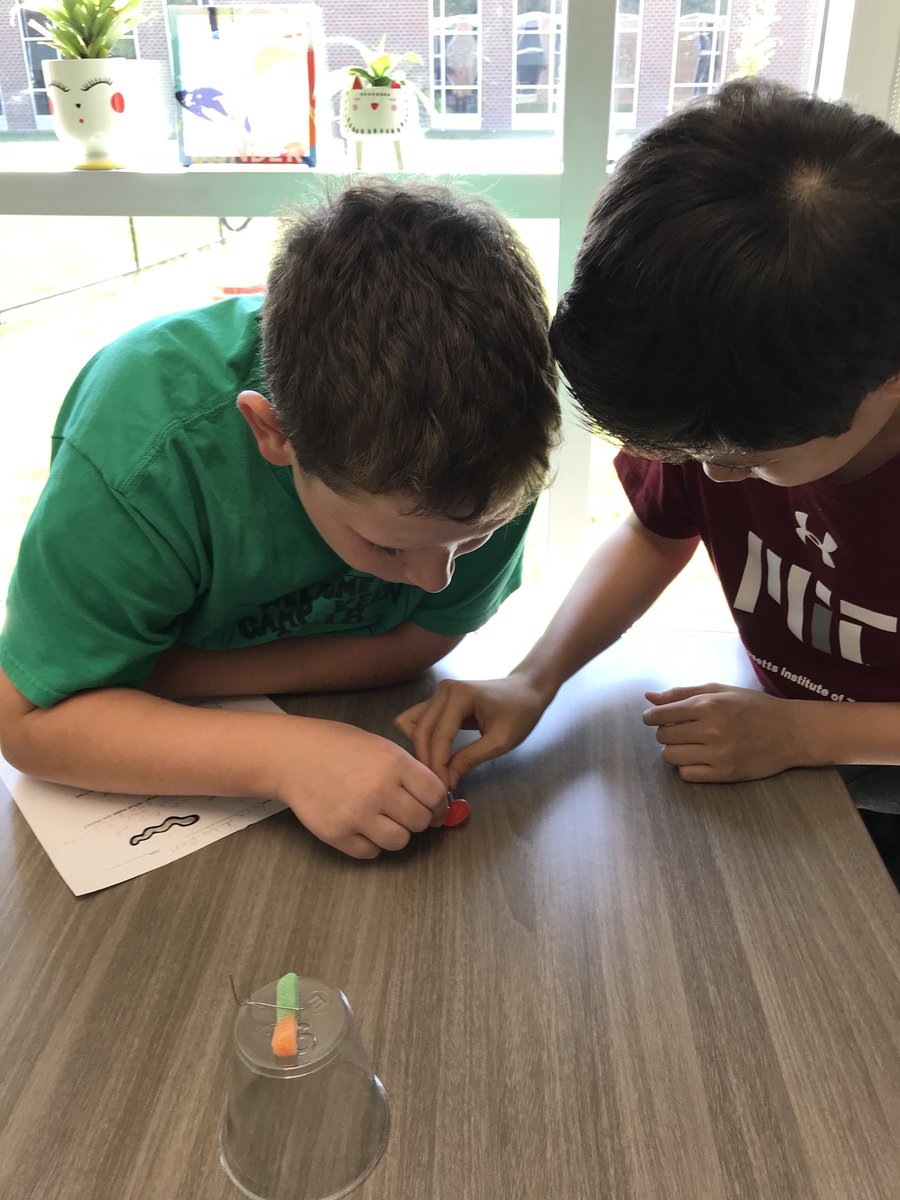 gatelyedu's tweet image. Poor Fred! His boat has capsized and his life preserver is trapped beneath it. Can you and your team @WilsonElem come up with a strategy to save him?  Overheard in the classroom, “This is fun! Is this science?” #DoScience @FHSchools