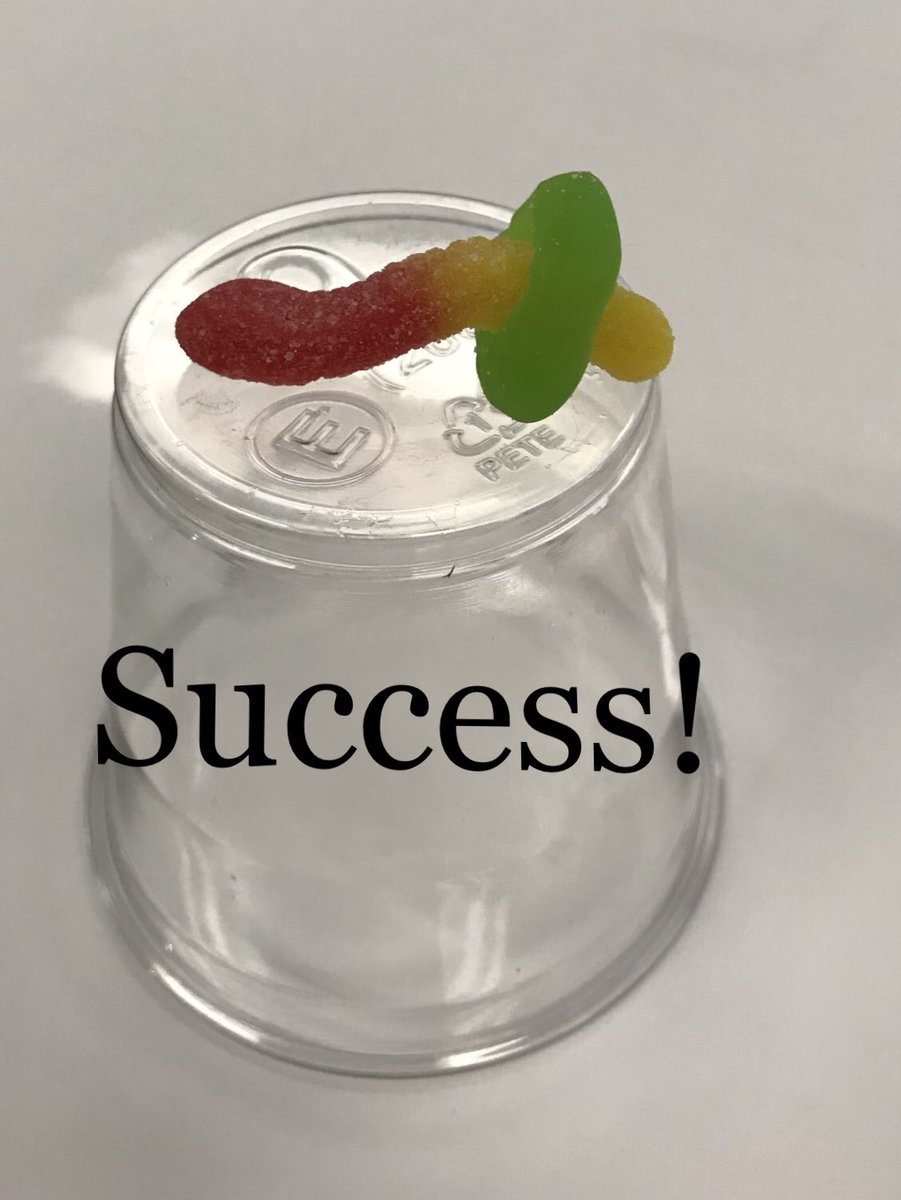 gatelyedu's tweet image. Poor Fred! His boat has capsized and his life preserver is trapped beneath it. Can you and your team @WilsonElem come up with a strategy to save him?  Overheard in the classroom, “This is fun! Is this science?” #DoScience @FHSchools