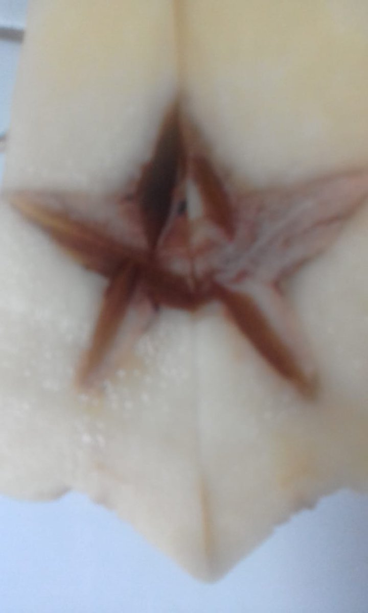 apa nih coba tebak...