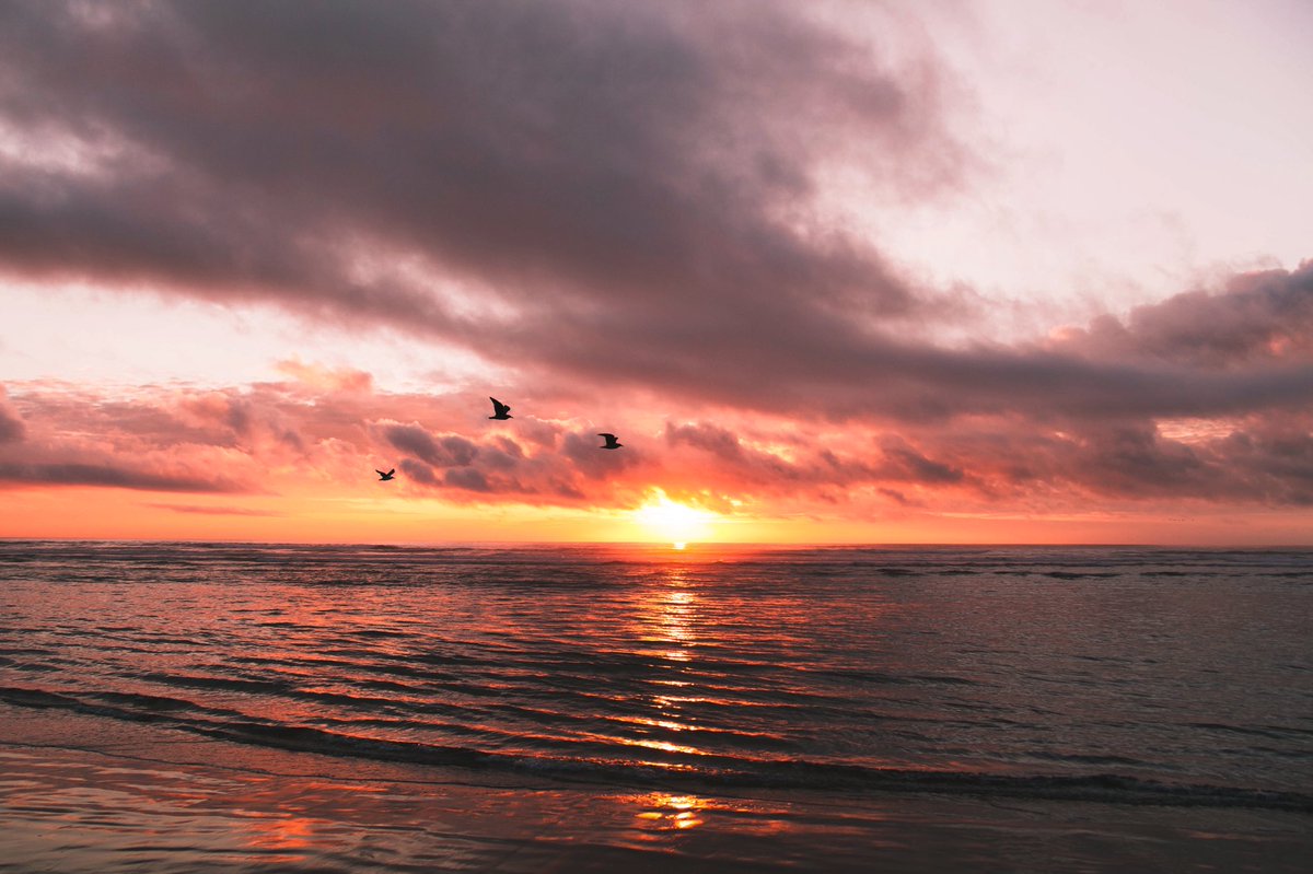 alexxhinson's tweet photo. the oregon coast https://t.co/WPKuEp4K2A