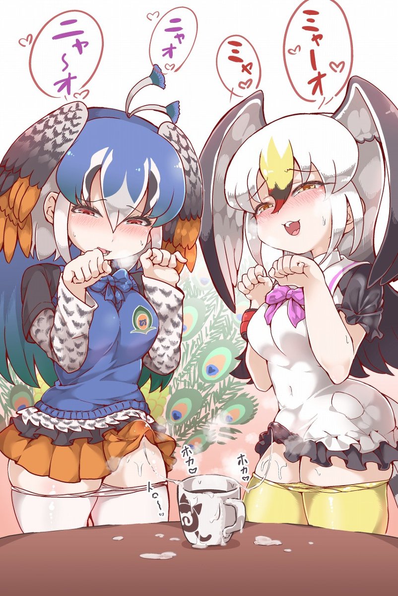 しこりぱ R 18 ネコカフェ けものフレンズ クジャク けものフレンズ ウミネコ けものフレンズ ふたなり T Co Xmorq1stdo