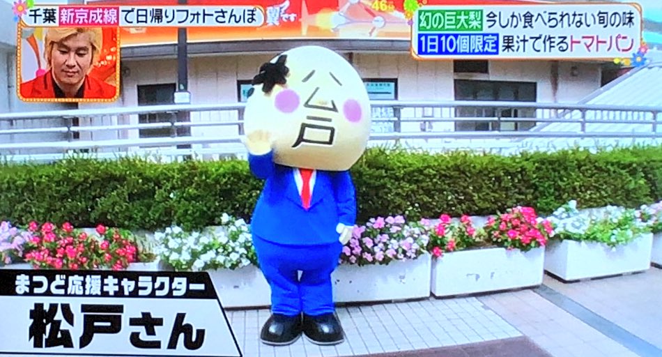18年9月21日 ヒルナンデスで 松戸 が話題に トレンドアットtv 18年9月21日 ヒルナンデスで 松戸 が話題に トレンドアットtv