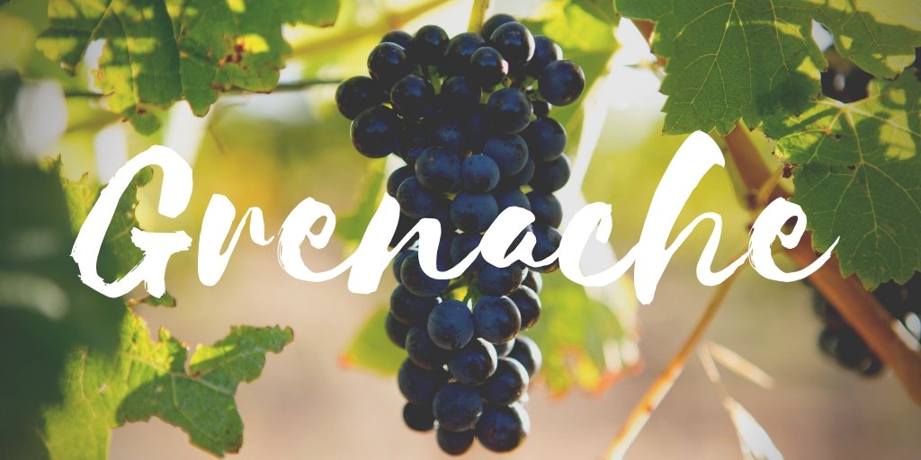 In celebration of #InternationalGrenacheDay DOWIE DOOLE are having a #FlashSale with 20% OFF our #Grenache &amp; Grenache dominant blends - This weekend only! Use discount code: GRENACHE dowiedoole.com/collections/fl…