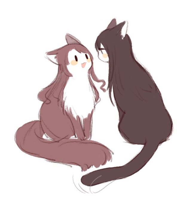 🐱 