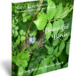 Review of #NaturExplorers #homeschool curriculum - bit.ly/2gBKGLG