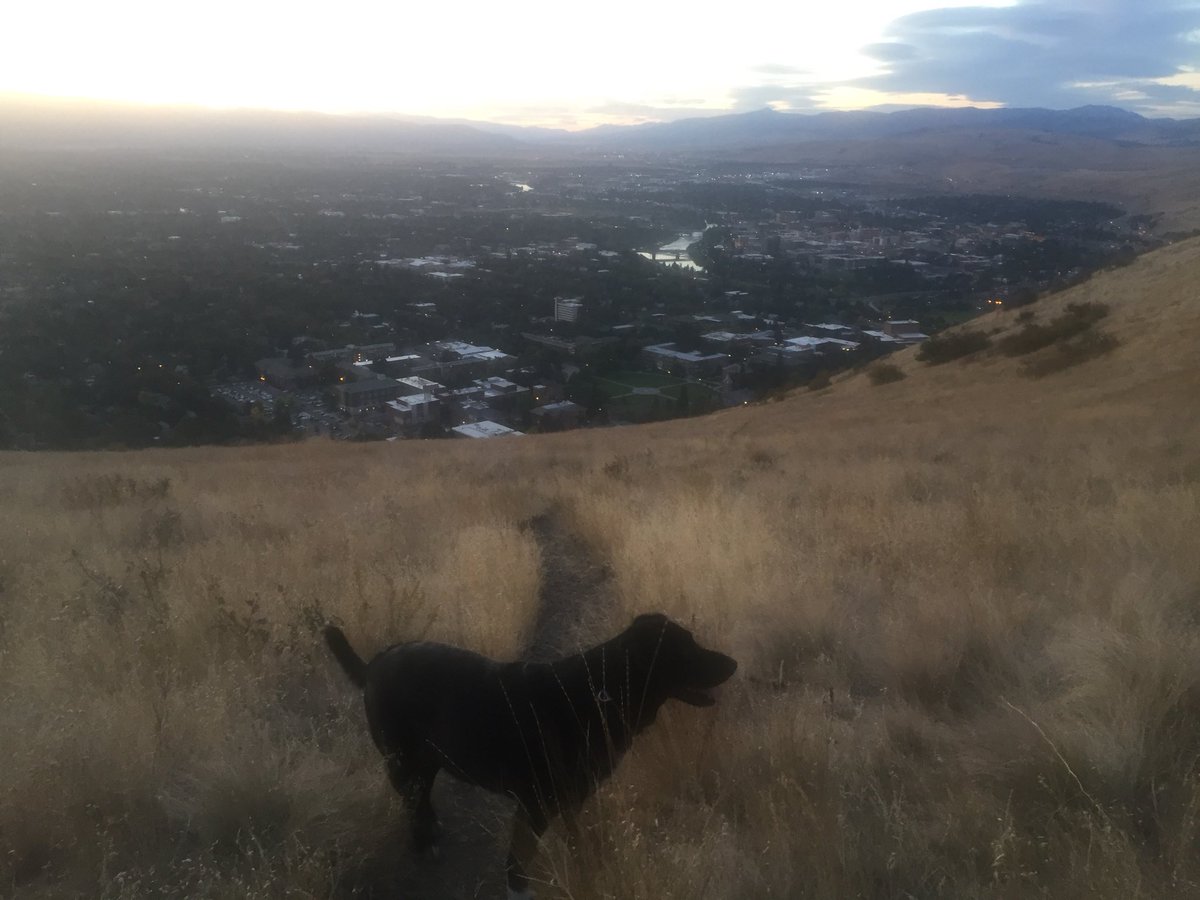 bemandajoy's tweet image. It’s the penultimate day of summer—soaking it in as best as I can. #summerdontgo