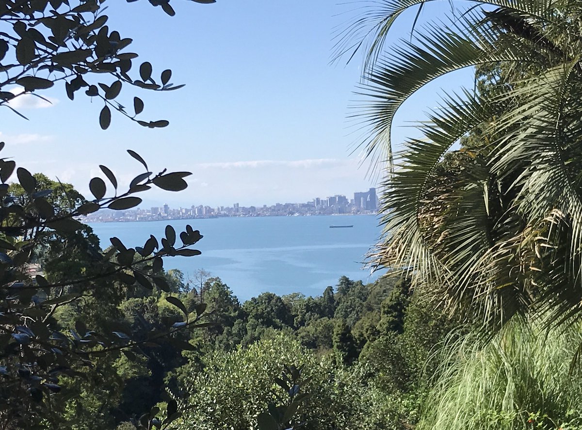 Enjoying the views from the botanical gardens@on the oak hall trip to Georgia #oakhallexpeditions