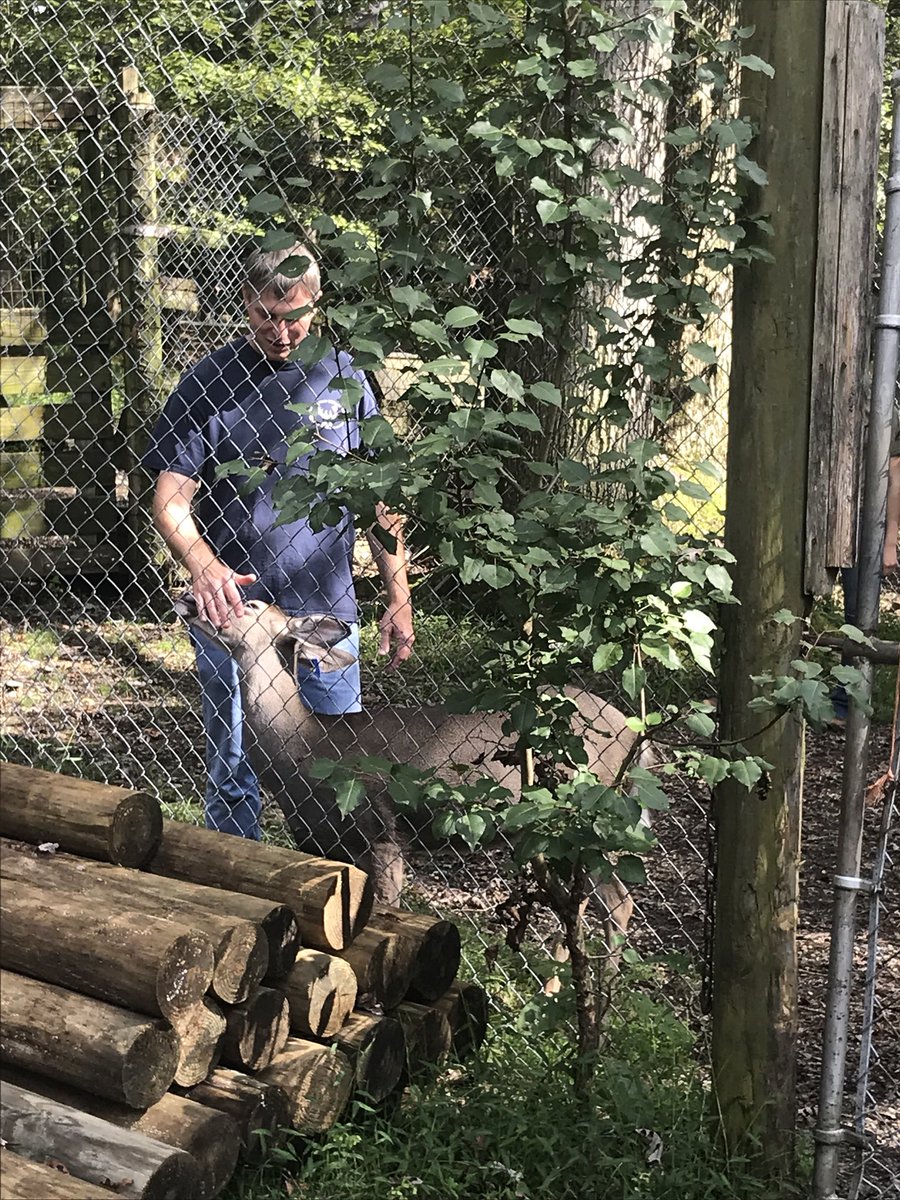 Bethany Mathie tweet media