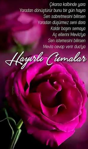 Emirhan (@emirhan13122543) on Twitter photo 