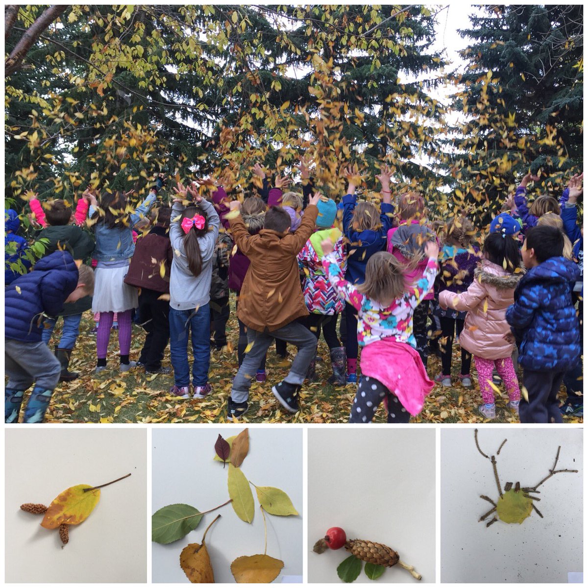 Read the story “Leaf Man” and then went outside, collected leaves and created our own leaf pictures. #cbeearthplay #outdoored #getoutside