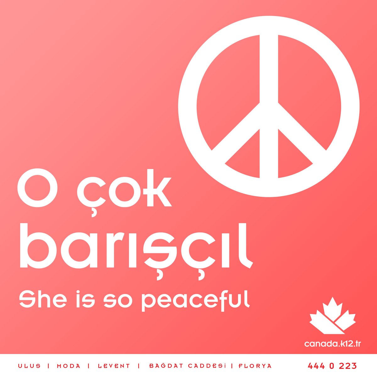 O her yerde barışla dolu! Kendi içinde, arkadaşları arasında, ailesiyleyken, sınıfta,
yurtta ve cihanda… İstiyor ki herkesin kalbinde #huzur olsun, #mutluluk olsun,
#şefkat olsun. Bütün #dünya #barış içinde uyusun. İstiyor ki #DünyaBarışGünü
huzurlu günlerin başladığı gün olsun.