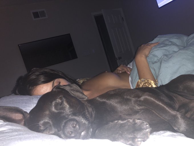 He steels my pillow every night.... https://t.co/WycWF7Owu3